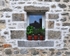Man in Window