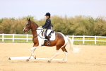 SBM_007343