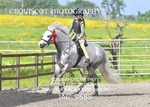 CLASS 1 Nursery Novice Working Hunter (0.50m) portfolio