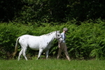 WJ7_1507