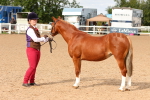 SBM_10193