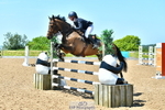 Cls 15 Foxhunter portfolio