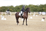 SBM_003550