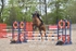 BPP_3926