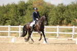 SBM_015632