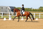 SBM_010568