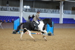SBM_000442