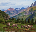 Lunch Break - Logan Pass