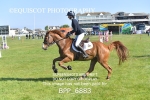 BPP_6883