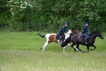 WJ7_8534