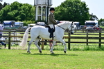 SBM_07871