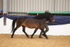 20260913-1748