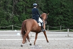 Cls 14 FEI Grand Prix portfolio