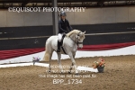 BPP_1734