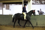 Class 19-20 - First Timers Walk & Trot - New Combinaion portfolio