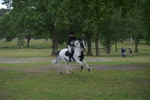 NGP_6842