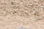 240706A-115345-01448