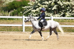 SBM_007271