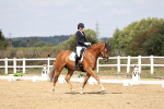 SBM_018356