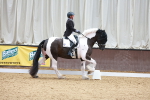 SBM_004550
