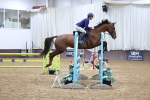 SBM_006666