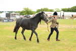 SBM_04078