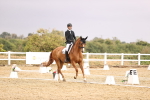 SBM_002047