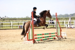 SBM_000620