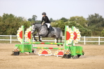 SBM_03715