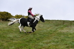 WJ5_5955
