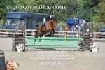 BPP_8045