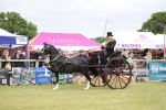 SBM_05932