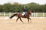 SBM_00591