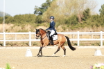 SBM_016959