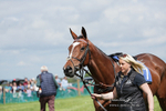 Kimblewick Races Coronation Meet  Kingston Blount 07/05/23 portfolio