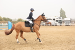 SBM_024136