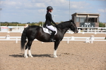 SBM_04190
