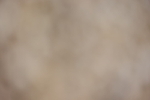 20260912-0691
