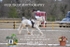 BPP_8430