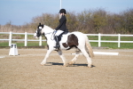 SBM_002001