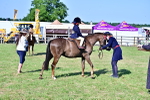 SBM_19804