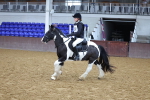 SBM_000274
