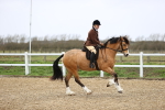 SBM_007527