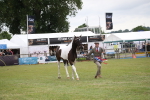 SBM_09914