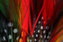 FEATHERS-2-3915