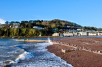 Shaldon View 2