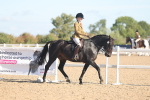 SBM_12303