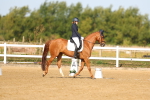 SBM_010668