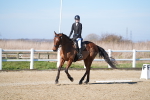 SBM_002289