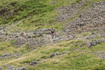 Borrowdale-1